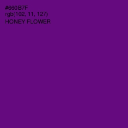 #660B7F - Honey Flower Color Image