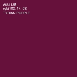 #66113B - Tyrian Purple Color Image
