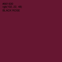 #661630 - Black Rose Color Image