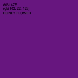 #66167E - Honey Flower Color Image