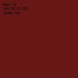 #661716 - Dark Tan Color Image