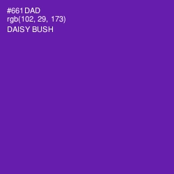 #661DAD - Daisy Bush Color Image