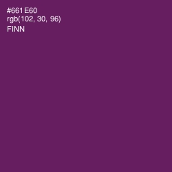 #661E60 - Finn Color Image