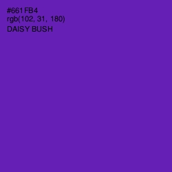 #661FB4 - Daisy Bush Color Image