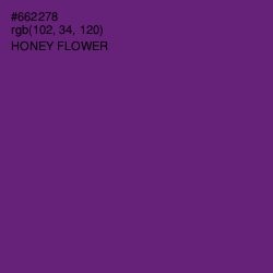 #662278 - Honey Flower Color Image