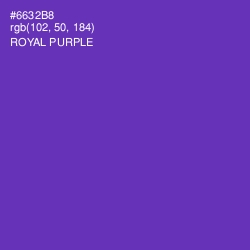 #6632B8 - Royal Purple Color Image