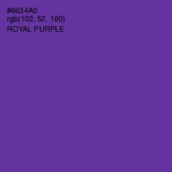 #6634A0 - Royal Purple Color Image