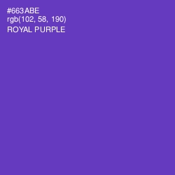 #663ABE - Royal Purple Color Image