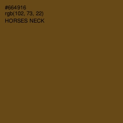 #664916 - Horses Neck Color Image