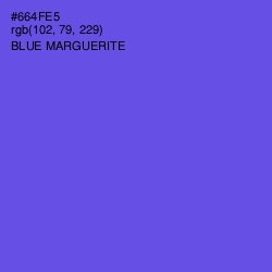 #664FE5 - Blue Marguerite Color Image