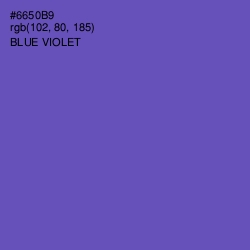 #6650B9 - Blue Violet Color Image