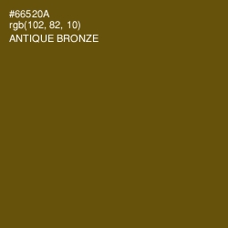 #66520A - Antique Bronze Color Image