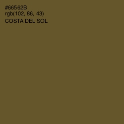 #66562B - Costa Del Sol Color Image