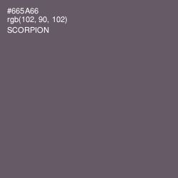 #665A66 - Scorpion Color Image