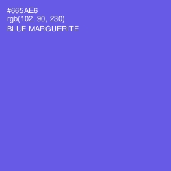 #665AE6 - Blue Marguerite Color Image