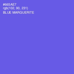 #665AE7 - Blue Marguerite Color Image