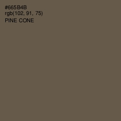 #665B4B - Pine Cone Color Image