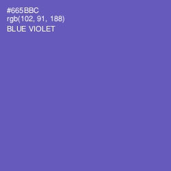 #665BBC - Blue Violet Color Image