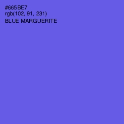 #665BE7 - Blue Marguerite Color Image