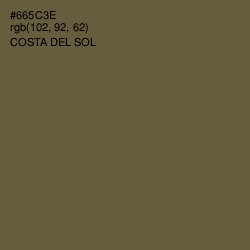 #665C3E - Costa Del Sol Color Image