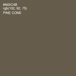 #665C4B - Pine Cone Color Image