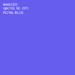 #665CED - Royal Blue Color Image