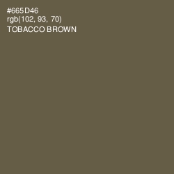 #665D46 - Tobacco Brown Color Image