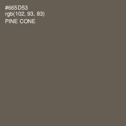 #665D53 - Pine Cone Color Image