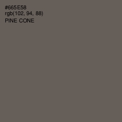 #665E58 - Pine Cone Color Image