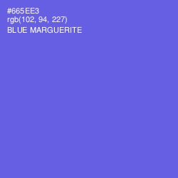 #665EE3 - Blue Marguerite Color Image