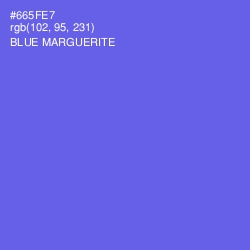 #665FE7 - Blue Marguerite Color Image