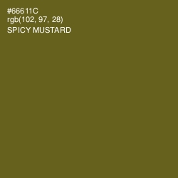 #66611C - Spicy Mustard Color Image