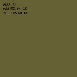 #666134 - Yellow Metal Color Image