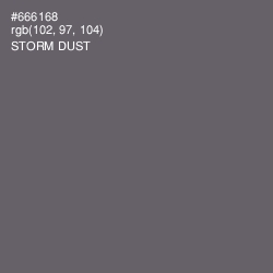 #666168 - Storm Dust Color Image