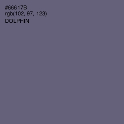 #66617B - Dolphin Color Image