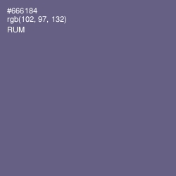 #666184 - Rum Color Image