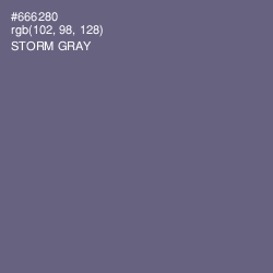 #666280 - Storm Gray Color Image