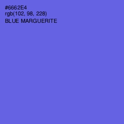 #6662E4 - Blue Marguerite Color Image