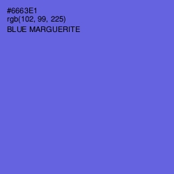 #6663E1 - Blue Marguerite Color Image