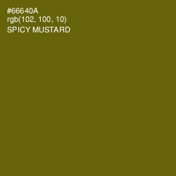 #66640A - Spicy Mustard Color Image