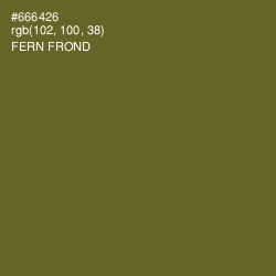 #666426 - Fern Frond Color Image