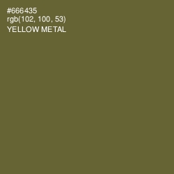 #666435 - Yellow Metal Color Image