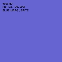 #6664D1 - Blue Marguerite Color Image