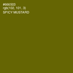 #666503 - Spicy Mustard Color Image