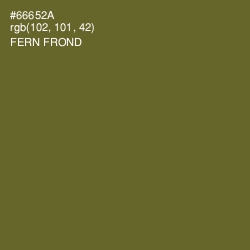 #66652A - Fern Frond Color Image