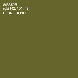 #66652B - Fern Frond Color Image