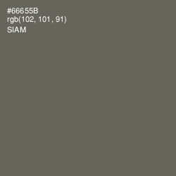 #66655B - Siam Color Image