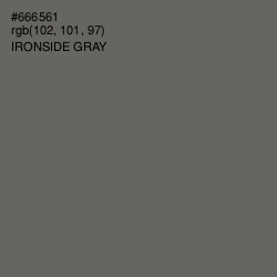 #666561 - Ironside Gray Color Image