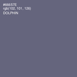 #66657E - Dolphin Color Image