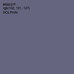 #66657F - Dolphin Color Image